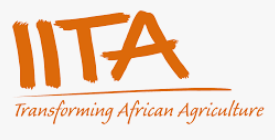 Food security: Oyo to partner IITA - ITREALMS