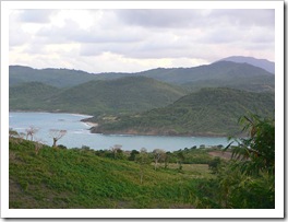 P1000923