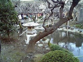 garden in yushima tenjin