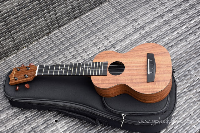 Enya EUS-X1 Ukulele