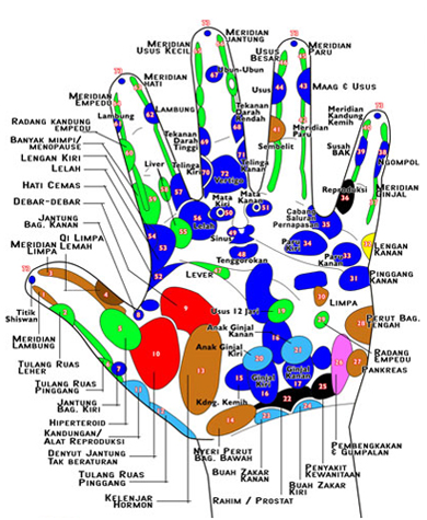 Asas Diagnosis Penyakit Melalui Saraf  Tapak Tangan 