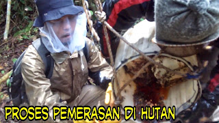 Jual madu murni/curah asli lebah liar hutan riau