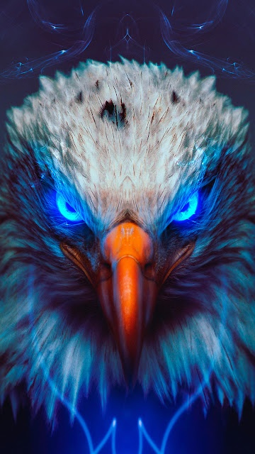 Eagle, Hd, 4k, Artwork, Animals Images