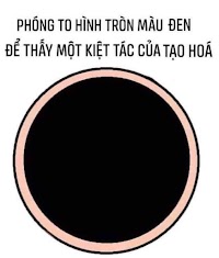 Troll gương phản chiếu