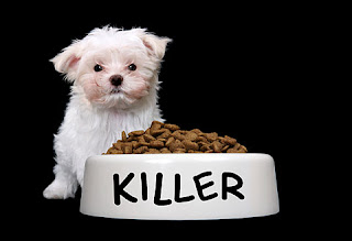 How to Stop Dog Food Aggression