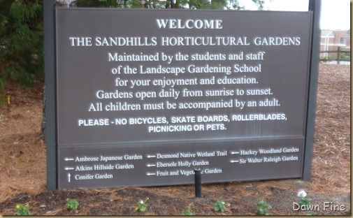 Sandhill Horticultural Garden_002