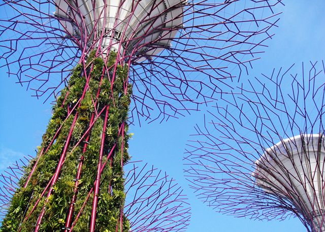 O prédio com jardim vertical interior foi eleito a construção do ano