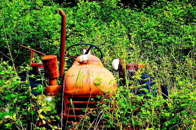 ancien tracteur 