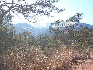 Trees and mountains in the background