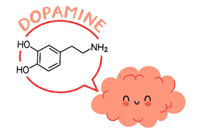 Cuatro hormonas felicidad serotonina