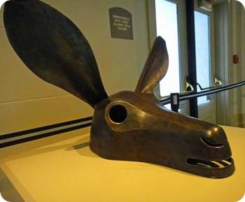 22-donkey-head