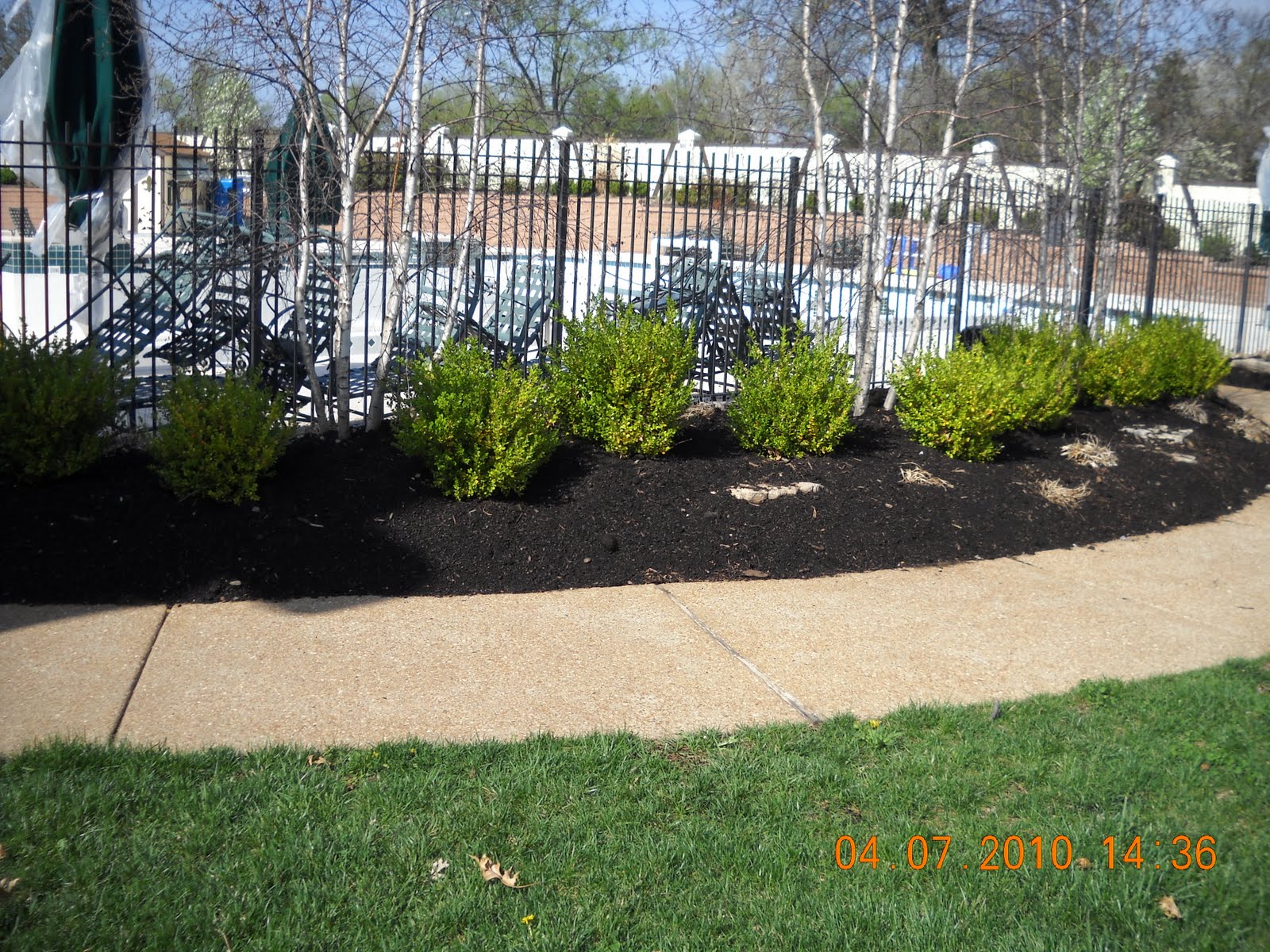 landscape management Landscaping around Pool Fence | 1600 x 1200