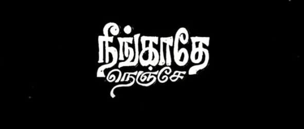 Neegadhe Nenje Tamil Song Lyrics - Saikishore - S.V. Siva Surya