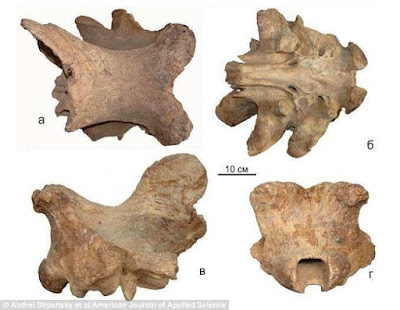 Ditemukan Fosil Asal Usul Makhluk Legenda Unicorn - Sains Box