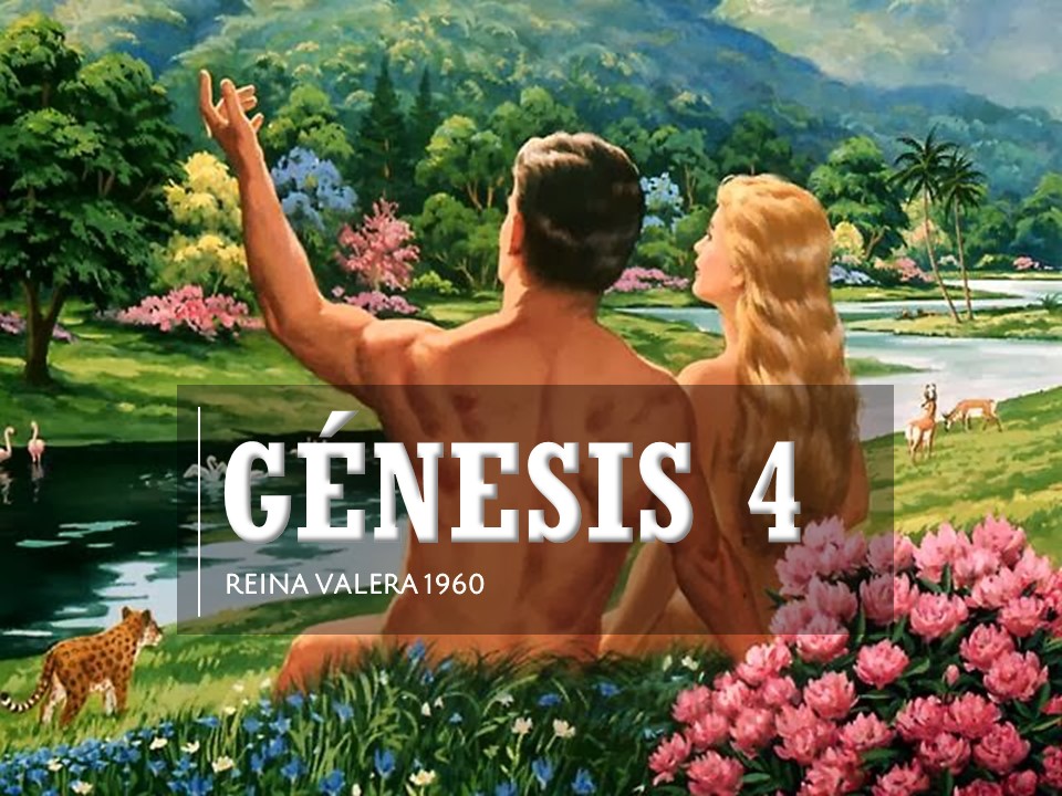 Rvr60 Genesis 4