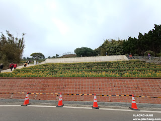 Taoyuan Dabeikeng Leisure Agriculture Area, don't miss the Rudbeckia flower season!