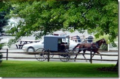 Amish transportation
