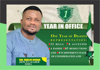 It's Been A Year of Diligent Representation - Hon. Marcus Onobun