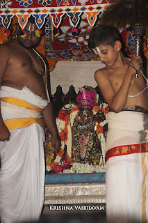 Thiruvallikeni, Sri PArthasarathy Perumal, Temple, Sri Rama NAvami, Seriya Ther, Sri Ramar, 2017, Video, Divya Prabhandam,Utsavam,