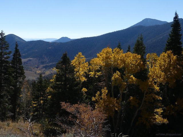 008: yellow topped trees and a long valley