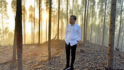 Jokowi Buka Peluang Pembiayaan IKN dari Dana Patungan Masyarakat, Anda Setuju?