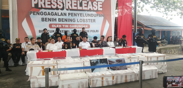 Bea Cukai Batam Bersama Tim Gabungan Gagalkan Penyelundupan 151 Ribu Ekor Benih bening Lobster di Perairan Bintan