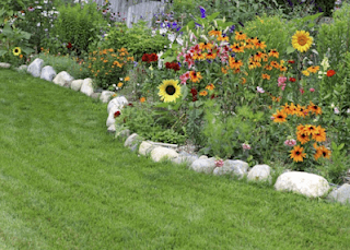 Best Garden Lawn  Edging Ideas And Design You Can Try in 2022