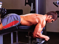 Sexy Male Bodybuilder Pictures Gallery