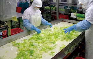 Tuyển 9 nữ lao động làm công việc chế biến thực phẩm tại Fukushima Nhật Bản