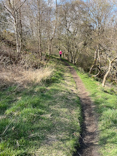A narrow trail surrounded by grass and trees.