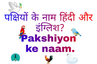 पक्षियों के नाम हिंदी और इंग्लिश? Pakshiyon ke naam.