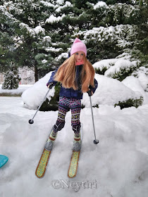 Barbie winter sports skiing snowboard