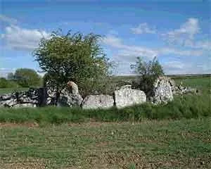 Ruyales del Paramo