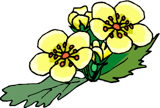 Simple Yellow Flower Free Clipart