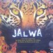 jalwa-returns-dj-akbar-sami