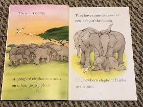 Elephants