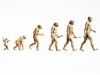 evolve, evolution, evolution of man, evolusion