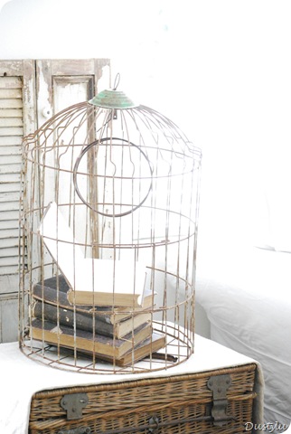 Bird Cage 1 002