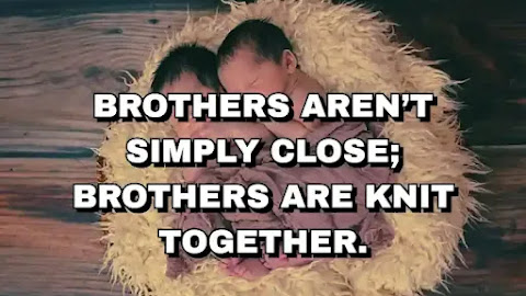 BROTHER QUOTES 