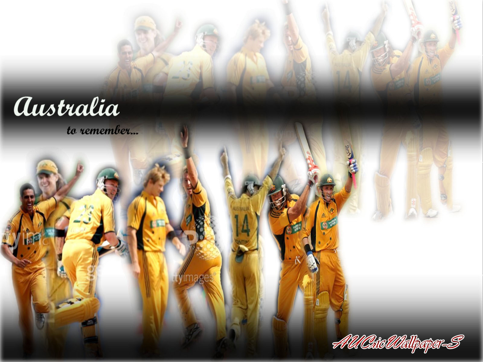 Ipl 5 | Cricket Wallpaper | Olampics Wallpaper: australia team picture ...