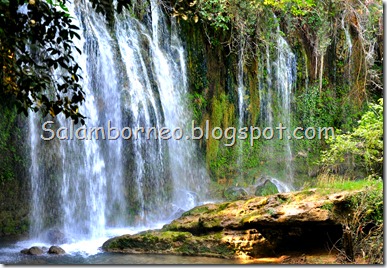 DSC_2232_Fotor