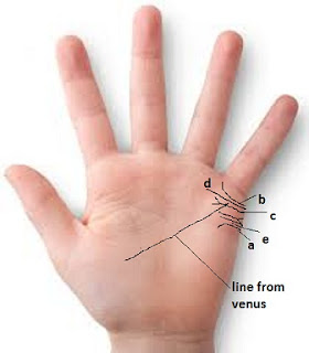 marriage line,line from venus,fork marriage line,upward marriage line, downward marriage line,break marriage line,mole on marriage line