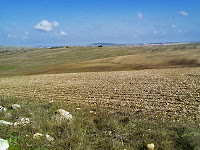 Sullo sfondo Castel del Monte