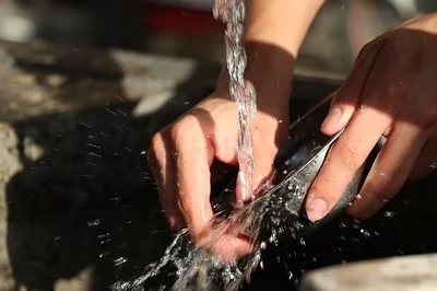 washing dishes to prevent e. coli