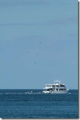 IMG_2608-700