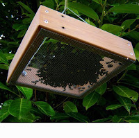 Bird Tray Feeder