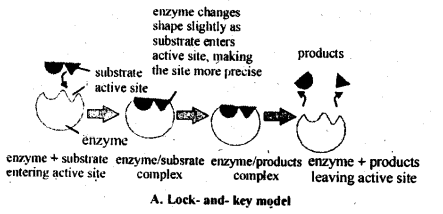 Solutions Class 12 Chemistry Chapter-5 (Surface Chemistry)