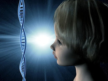 Pruebas de ADN con Cabello: Una Guía Completa