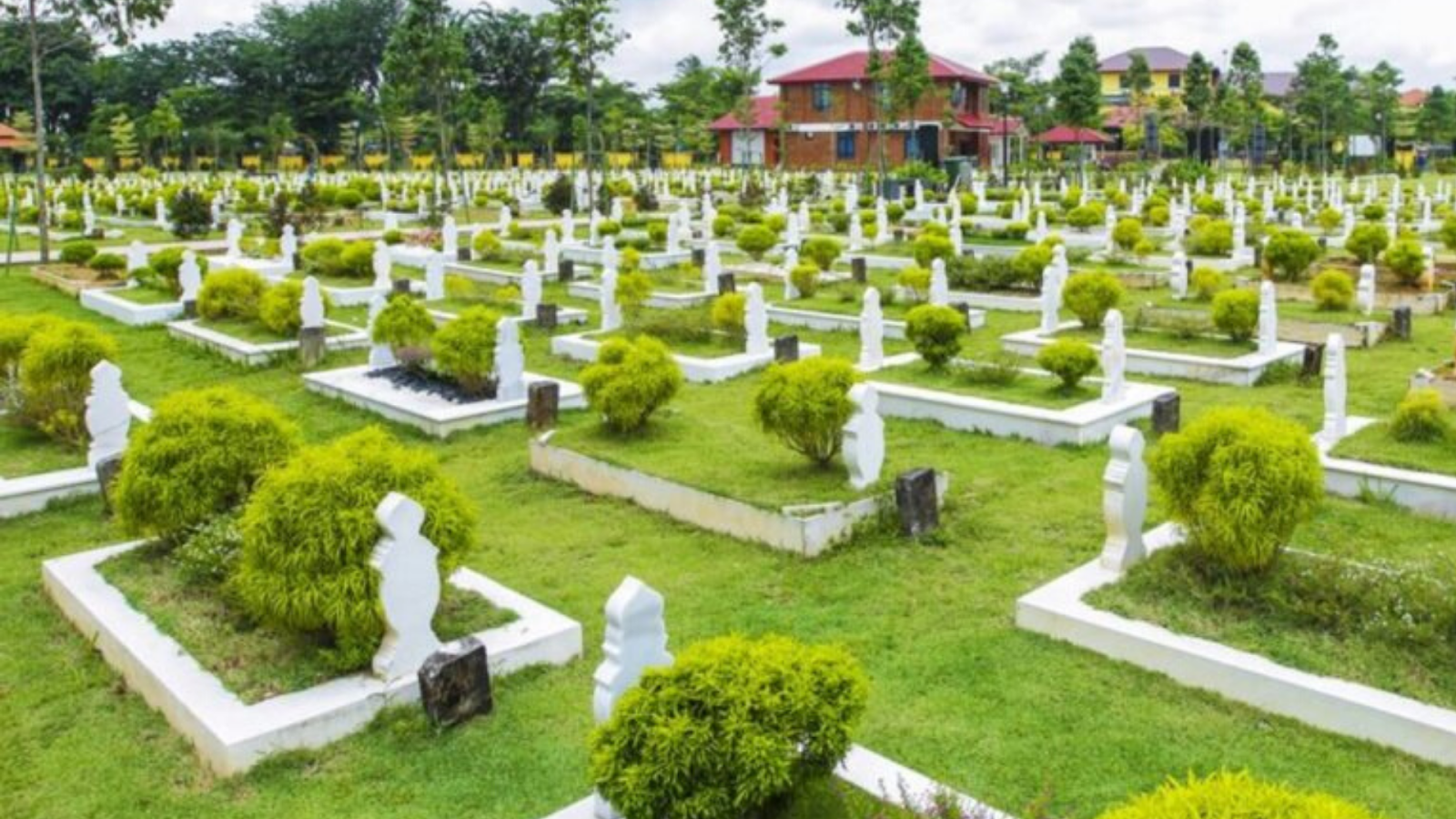 Hukum Mencabut Pokok Dan Rumput Di Atas Kubur - Oh! Media