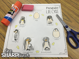This post has so many integrated penguin activities, covering each content area, as well as penguin crafts to display the students’ learning!  Grab the FREE penguin blubber experiment printable to use with your Kindergarten and primary students!